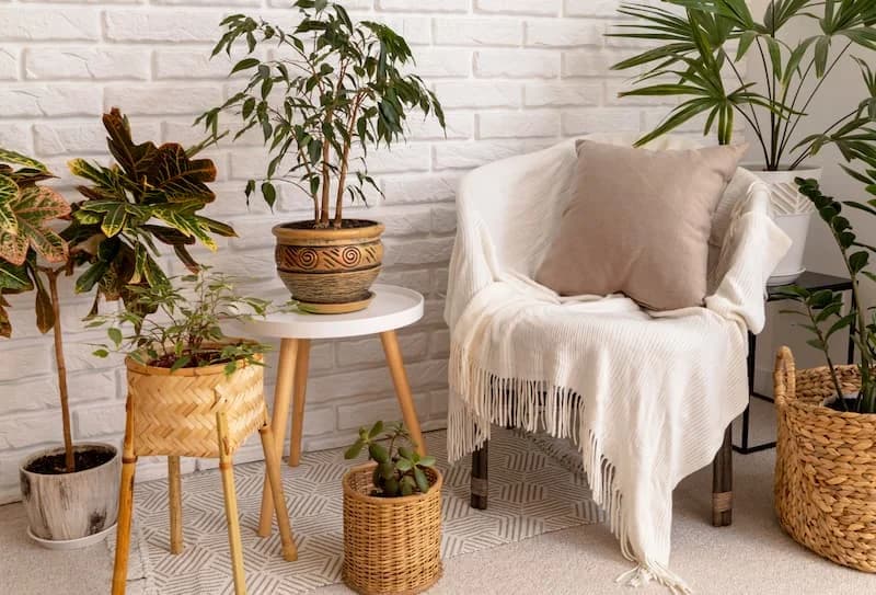 Amenajarea balconului în stil Boho. Sursa: Image by <a href="https://www.freepik.com/free-photo/interior-design-with-plants_20080604.htm#query=boho%20furniture&position=1&from_view=search&track=ais">Freepik</a>